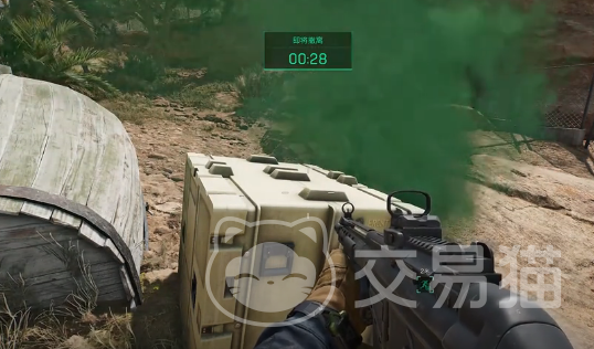 一颗美丽的 一颗美丽的