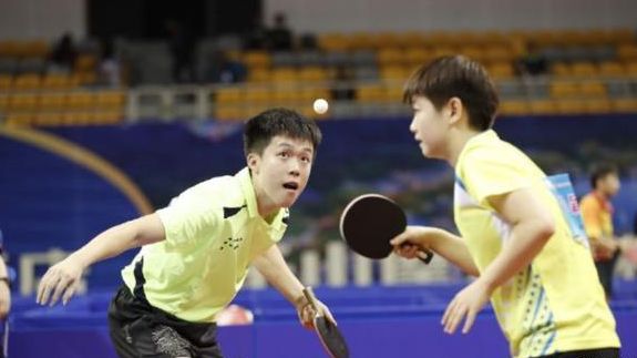 国内的党争 国内的党争