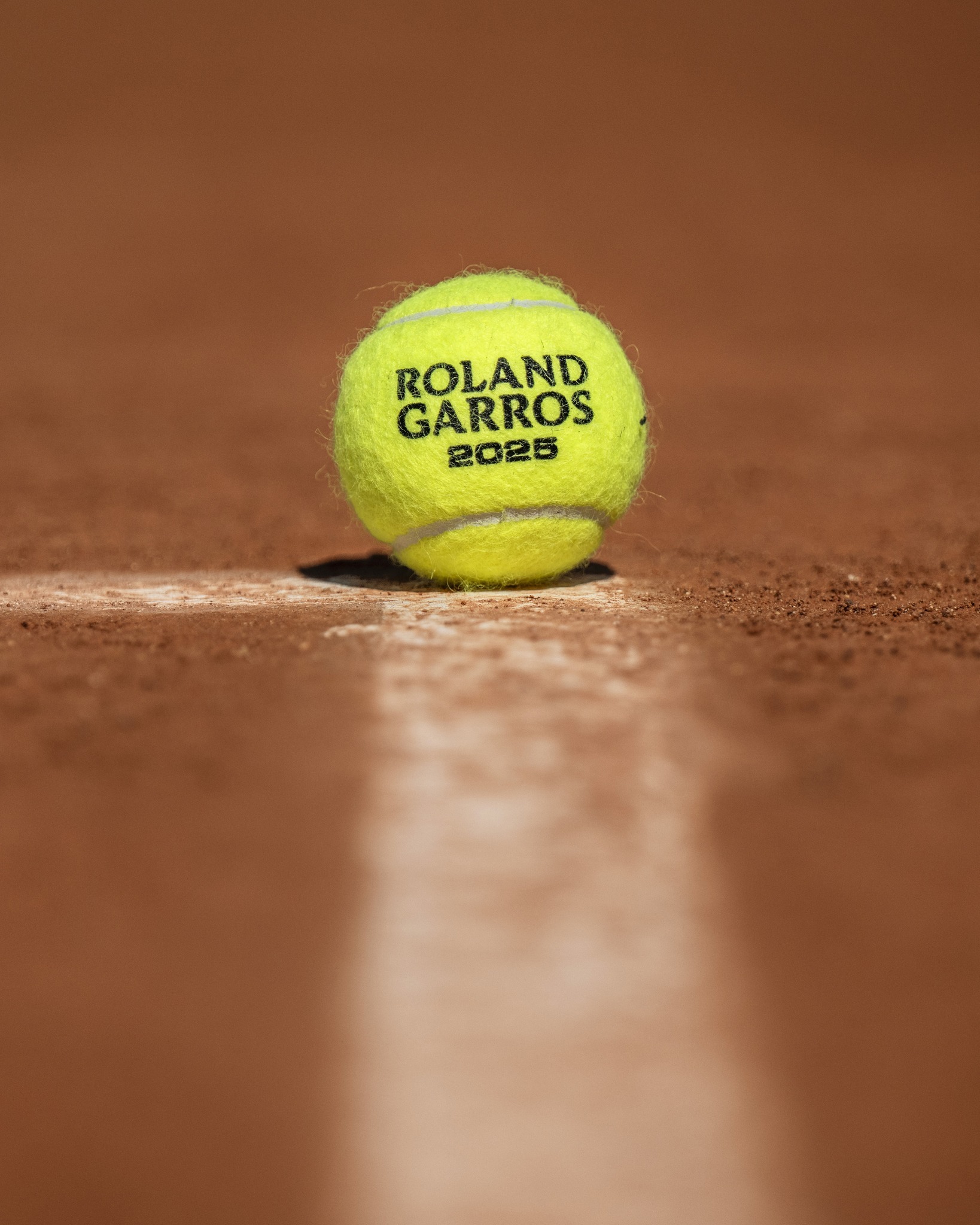 摘得冠军 摘得冠军